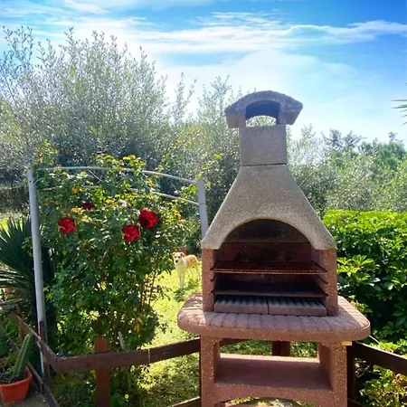 Apartment Del Girasole Castellabate